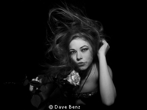 The black swan... by Dave Benz 